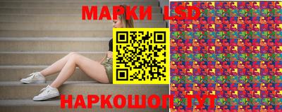 шишки Кимры