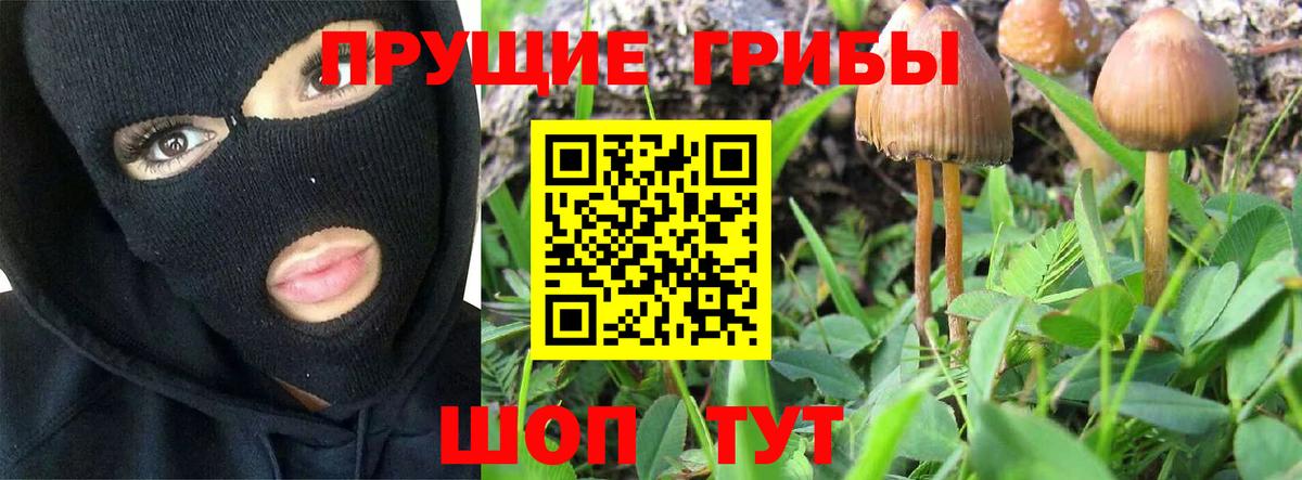 Псилоцибиновые грибы Magic Shrooms Кубинка